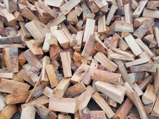 Bulk Birch Firewood
