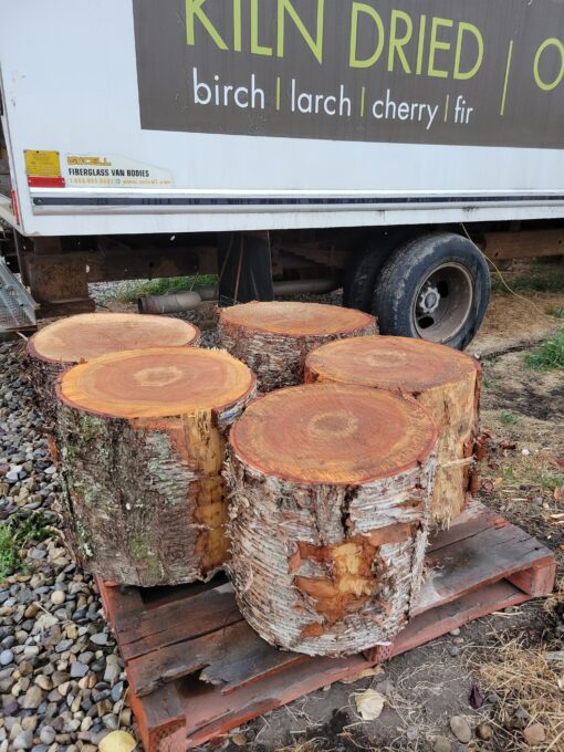 Birch Firewood Chopping Block